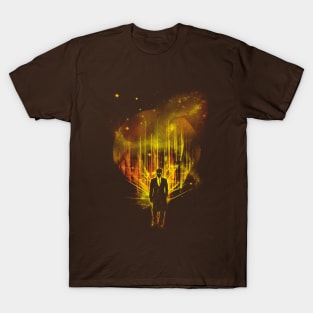 seeking for Gallifrey desperatly T-Shirt